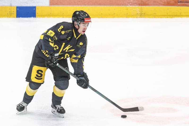 Ice Hockey. Tauron Hokej Liga. EC Bedzin Zaglebie Sosnowiec - GKS Katowice. 01.12.2024