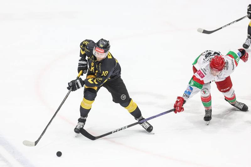 Ice Hockey. Tauron Hokej Liga. EC Bedzin Zaglebie Sosnowiec - GKS Katowice. 01.12.2024