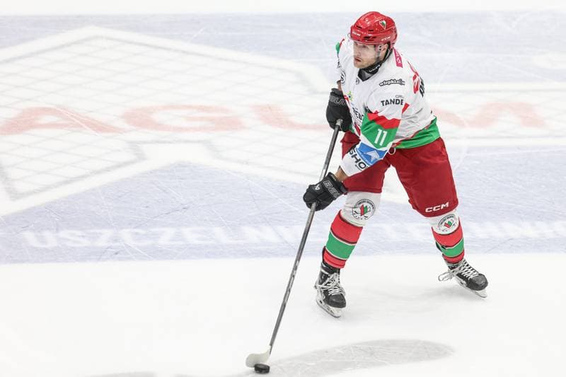 Ice Hockey. Tauron Hokej Liga. EC Bedzin Zaglebie Sosnowiec - GKS Katowice. 01.12.2024