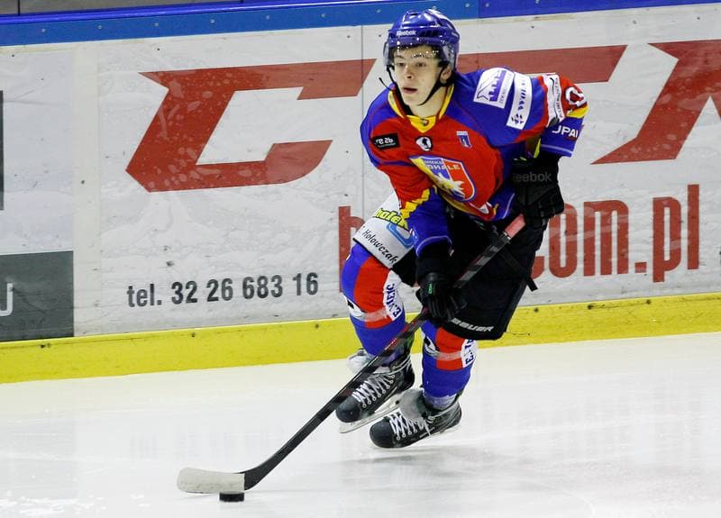Ice Hockey. Polska Hokej Liga. Naprzod Janow - Podhale Nowy Targ. 14.11.2014