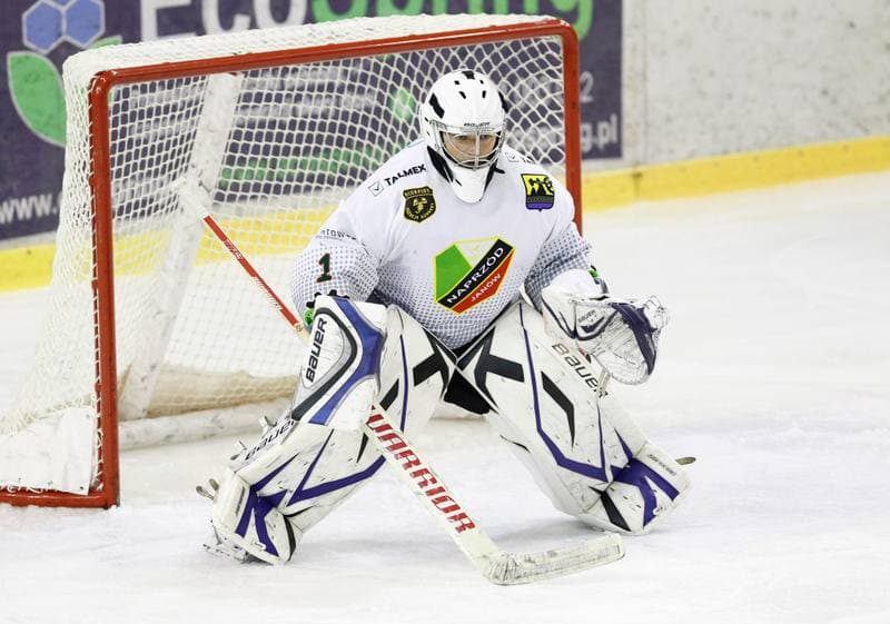 Ice Hockey. Polska Hokej Liga. Naprzod Janow - Podhale Nowy Targ. 14.11.2014