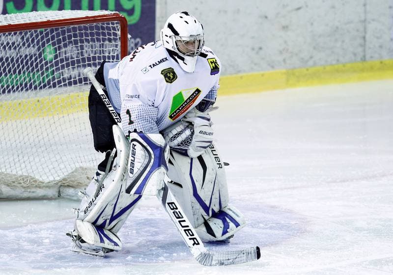 Ice Hockey. Polska Hokej Liga. Naprzod Janow - HC GKS Katowice. 06.01.2015