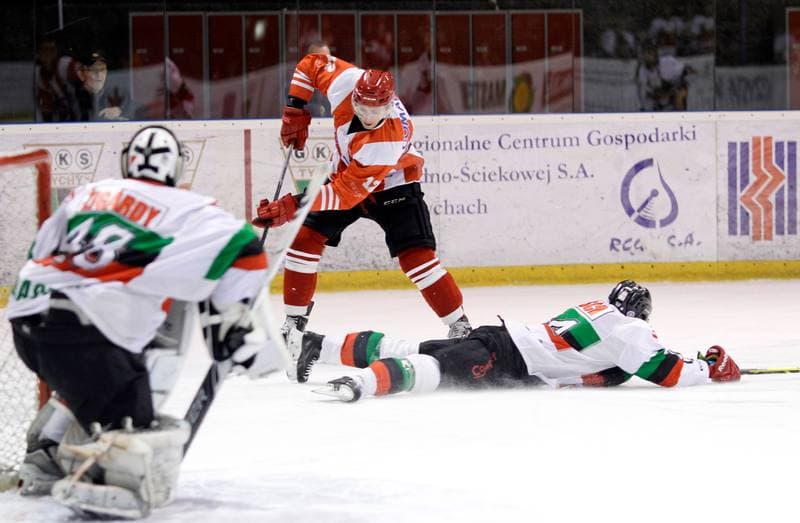 Ice Hockey. Polska Hokej Liga. GKS Tychy - Comarch Cracovia Krakow. 30.01.2015