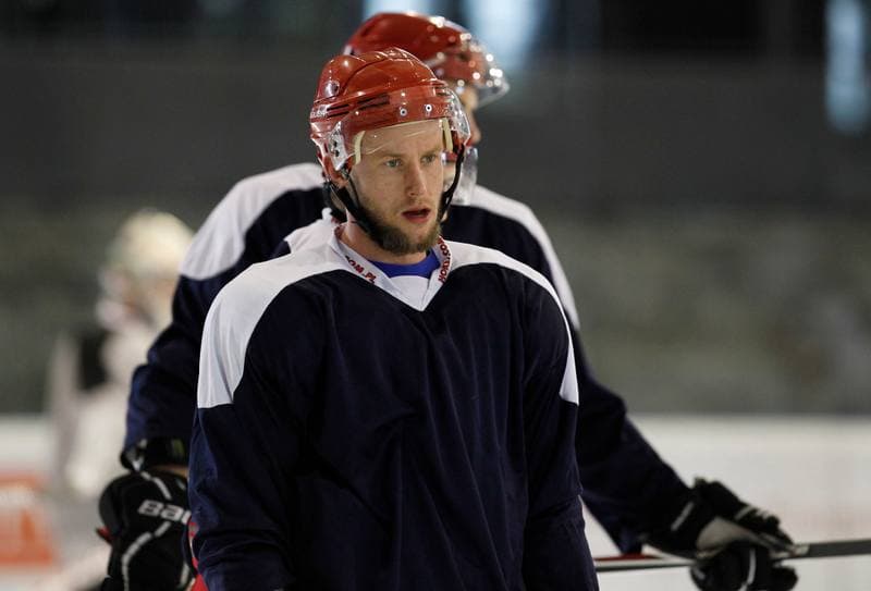 Ice Hockey. Poland national team. Training. 14.04.2015