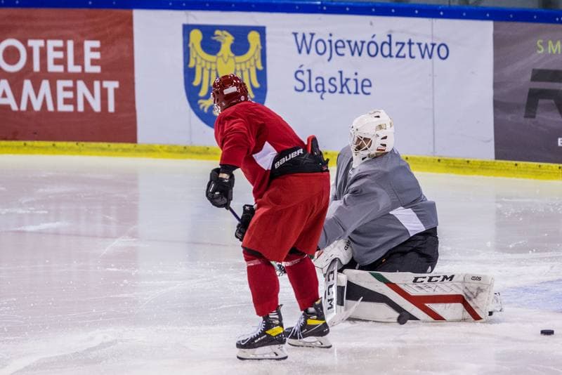 Ice Hockey. Poland national team. Training. 14.12.2020
