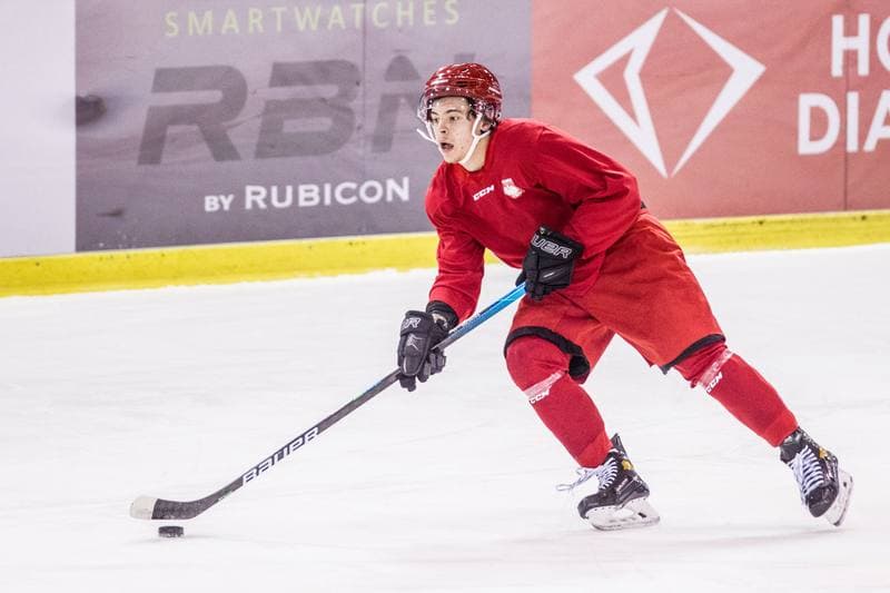 Ice Hockey. Poland national team. Training. 14.12.2020