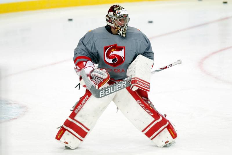 Ice Hockey. Poland national team. Training. 24.04.2016