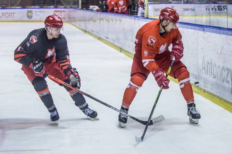 Ice Hockey. Poland national team. Training. 13.04.2021
