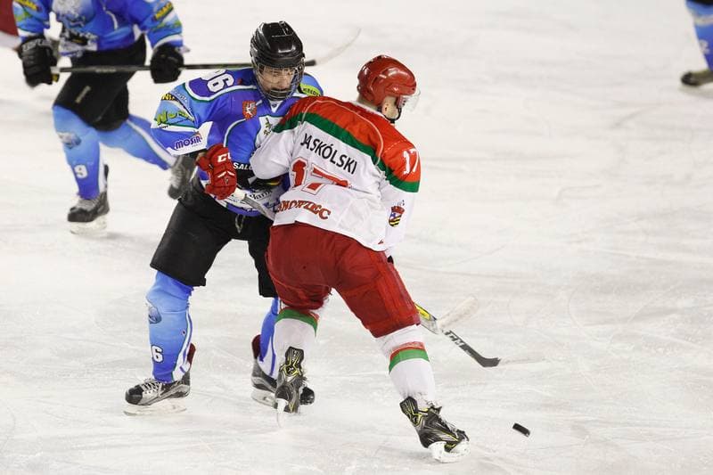 Ice Hockey. I Liga. Zaglebie Sosnowiec - UKH Debica. 18.02.2017