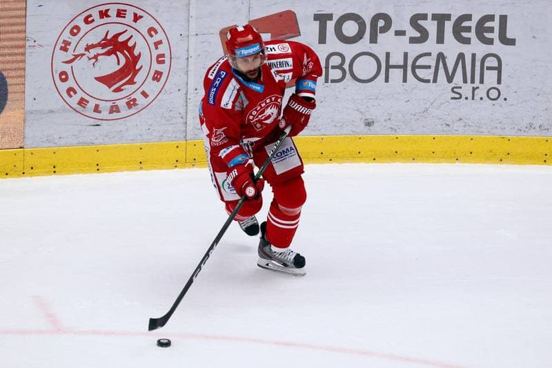 Ice Hockey. Tipsport Extraliga. Ocelari Trinec - Aukro Berani Zlin. 30.12.2017