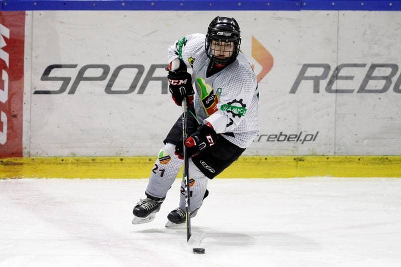 Ice Hockey. PLHK. Naprzod Janow - Polonia Bytom. 18.01.2018