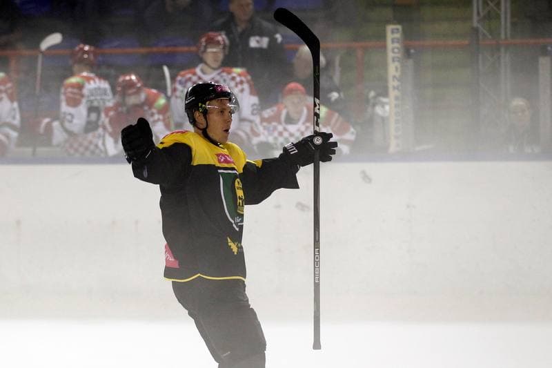 Ice Hockey. Polska Hokej Liga. Zaglebie Sosnowiec - Tauron KH GKS Katowice. 07.09.2018