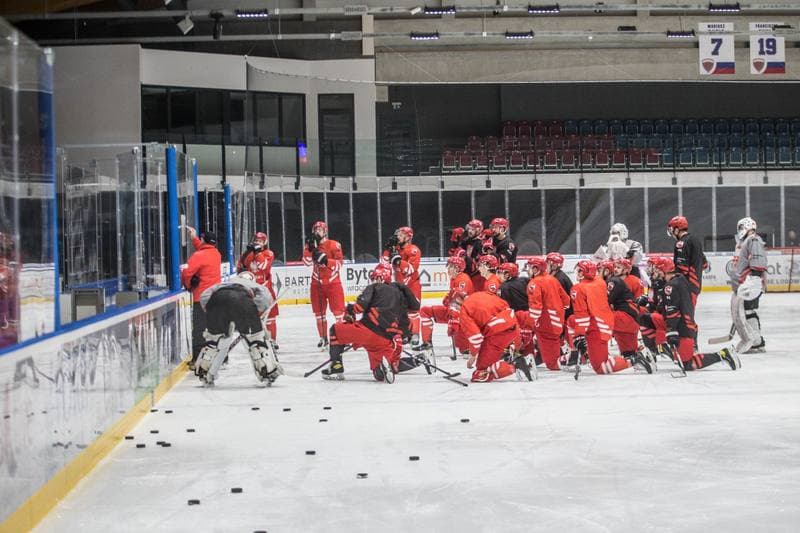 Ice Hockey. Poland national team. Training. 13.12.2021