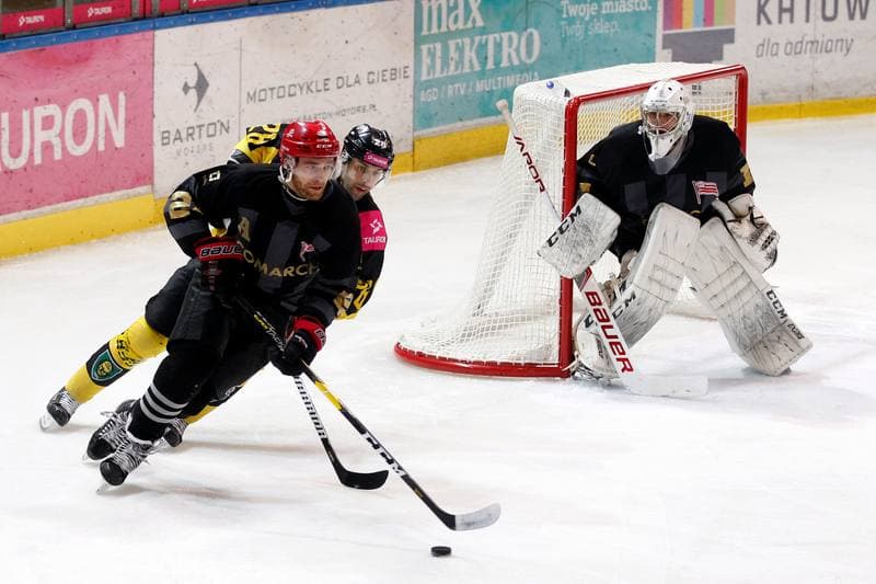 Ice Hockey. Tauron Hokej Liga. Tauron KH GKS Katowice - Comarch Cracovia. 17.01.2019