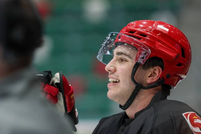 Ice Hockey. Poland national team. Training. 06.11.2023