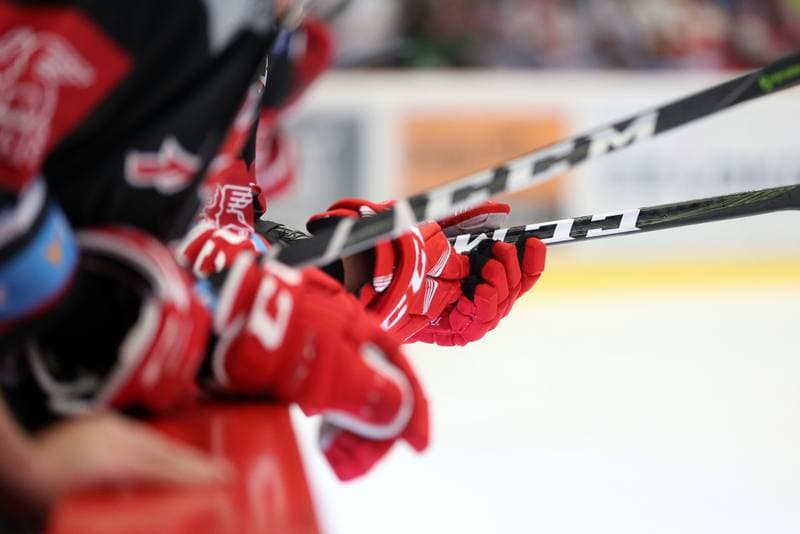 Ice Hockey. Tipsport Extraliga. Ocelari Trinec - Kometa Brno. 14.04.2018