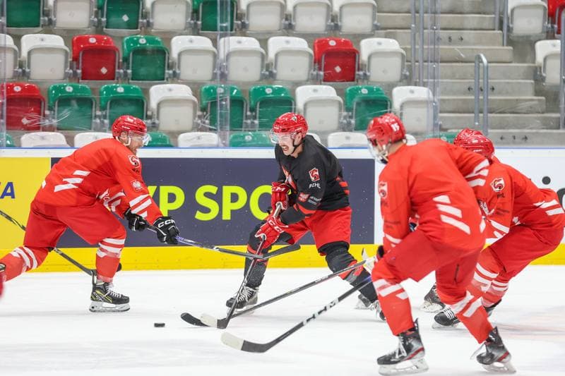 Ice Hockey. Poland national team. Training. 08.11.2023