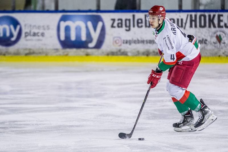 Ice Hockey. PHL. Zaglebie Sosnowiec - Tauron Podhale Nowy Targ. 06.02.2022