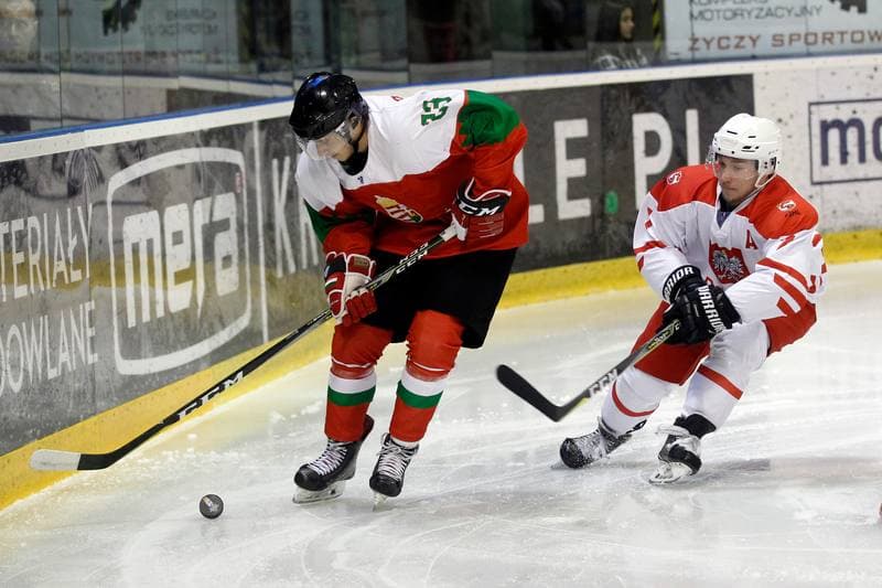 Ice Hockey. U20 World Championship Division 1B. Hungary - Poland. 14.12.2018