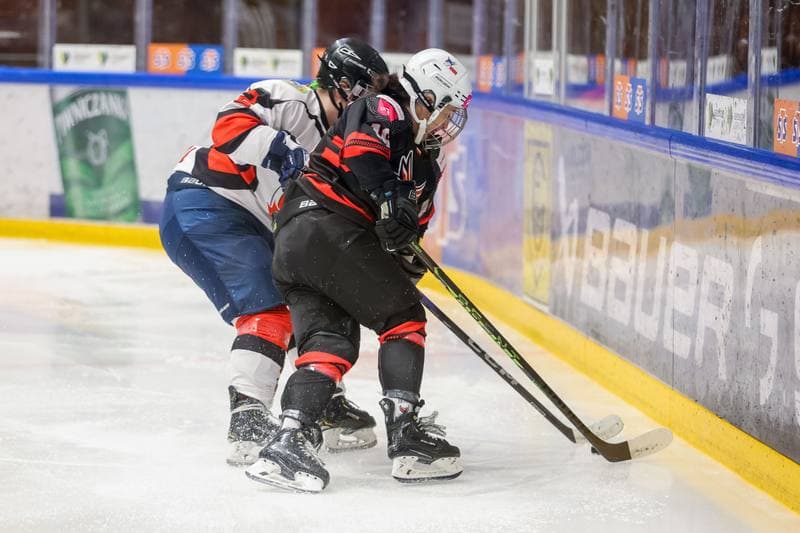 Ice Hockey. EWHL. Tauron Metropolia Silesia - Aisulu Almaty. 26.11.2023