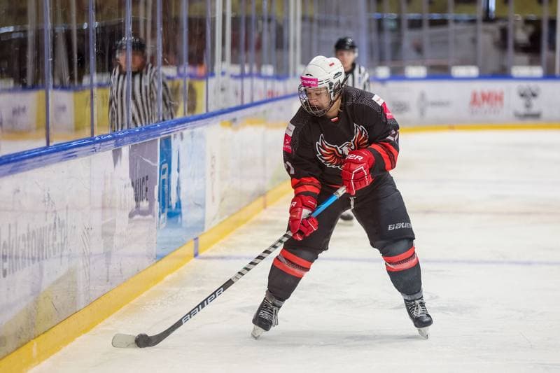Ice Hockey. EWHL. Tauron Metropolia Silesia - Aisulu Almaty. 26.11.2023