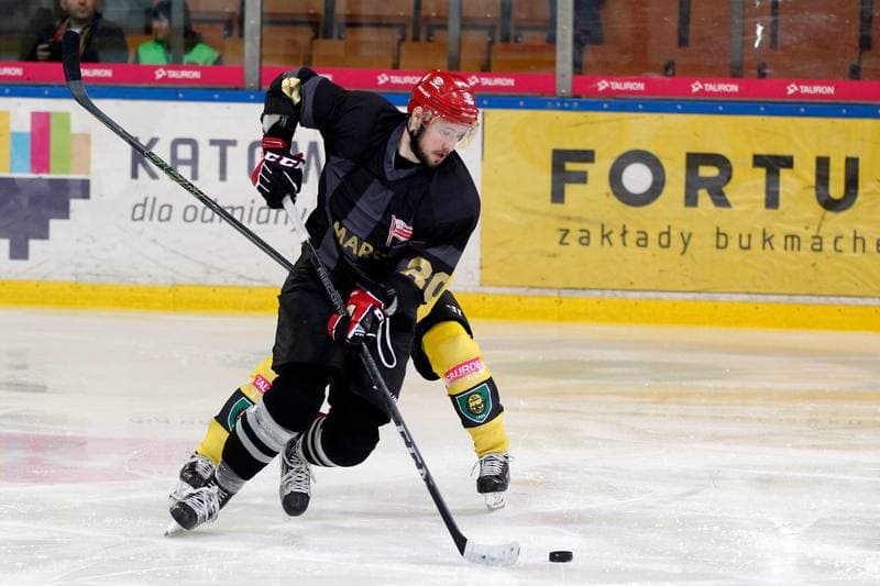 Ice Hockey. Tauron Hokej Liga. Tauron KH GKS Katowice - Comarch Cracovia. 17.03.2019