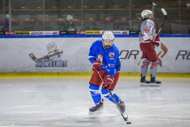 Ice Hockey. Poland national team. Training. 31.03.2022