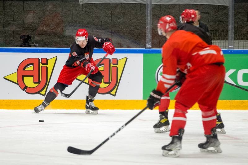 Ice Hockey. Poland national team. Training. 01.05.2022