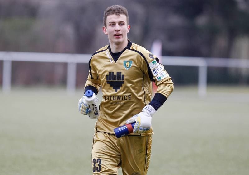 Football. Friendly Match. FC Hradec Kralove - GKS Katowice. 14.02.2015