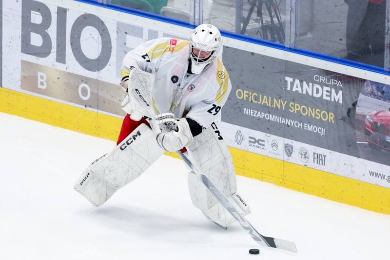 Ice Hockey. Tauron Hokej Liga. Zaglebie Sosnowiec - JKH GKS Jastrzebie. 05.01.2024