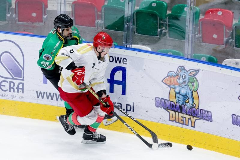 Ice Hockey. Tauron Hokej Liga. Zaglebie Sosnowiec - JKH GKS Jastrzebie. 05.01.2024