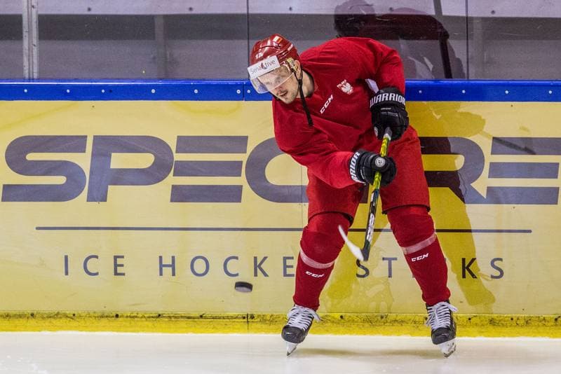 Ice Hockey. Poland national team. Training. 14.12.2020