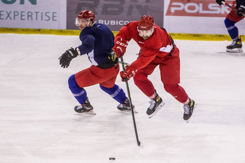 Ice Hockey. Poland national team. Training. 14.12.2020