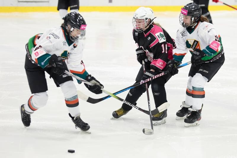Ice Hockey. Tauron Liga Kobiet. Kojotki Naprzod Janow - Kozice Poznan. 20.01.2024