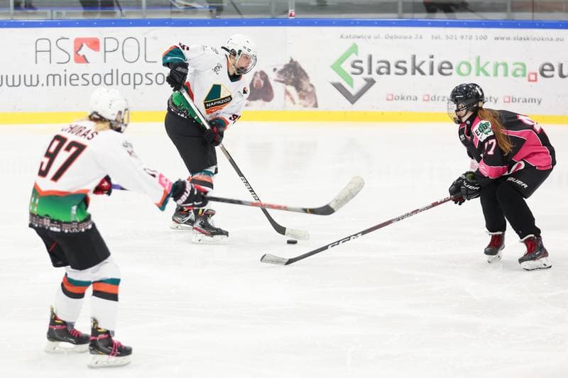 Ice Hockey. Tauron Liga Kobiet. Kojotki Naprzod Janow - Kozice Poznan. 20.01.2024
