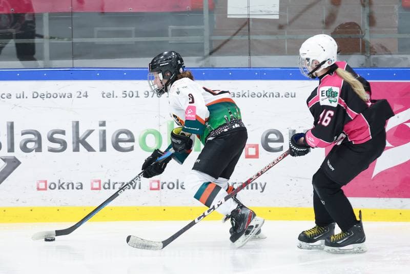 Ice Hockey. Tauron Liga Kobiet. Kojotki Naprzod Janow - Kozice Poznan. 20.01.2024