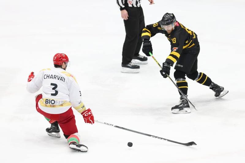 Ice Hockey. Tauron Hokej Liga. Zaglebie Sosnowiec - GKS Katowice. 21.01.2024