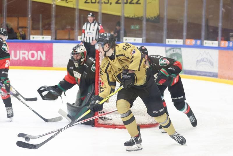 Ice Hockey. Tauron Hokej Liga. GKS Katowice - GKS Tychy. 28.01.2024