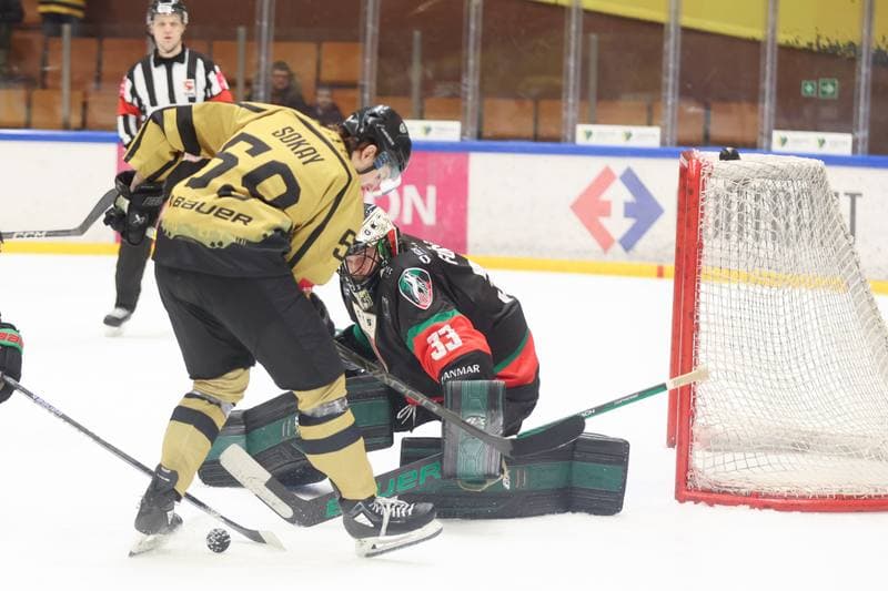 Ice Hockey. Tauron Hokej Liga. GKS Katowice - GKS Tychy. 28.01.2024