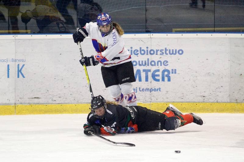 Ice Hockey. PLHK. Polonia Bytom - Atomowki Tychy. 27.01.2017