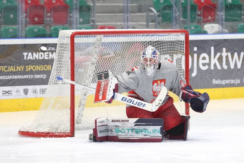 Ice Hockey. Poland national team. Training. 03.02.2024
