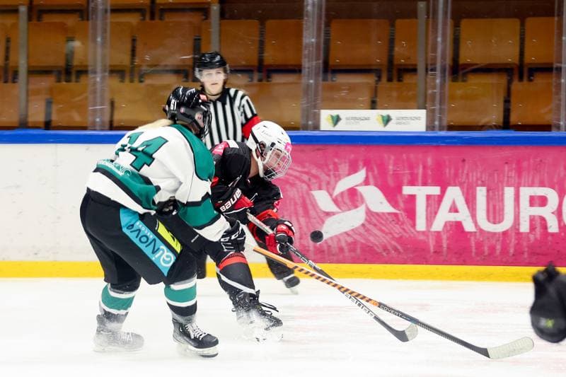 Ice Hockey. EWHL. Tauron Metropolia Silesia - KEHV Lakers. 03.02.2024