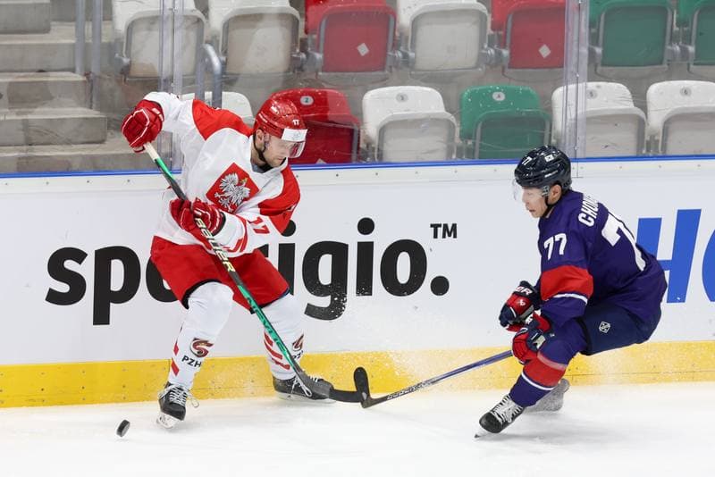 Ice Hockey. Friendly Match. Poland - South Korea. 05.02.2024