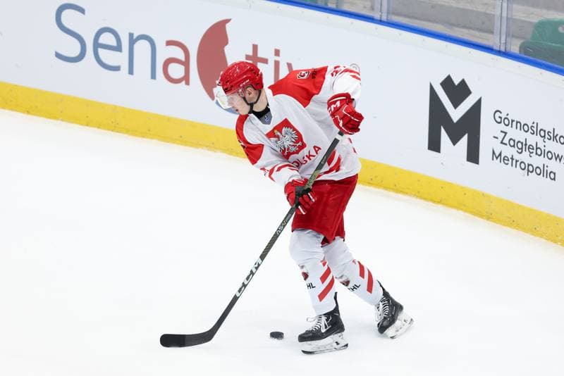Ice Hockey. Friendly Match. Poland - South Korea. 05.02.2024