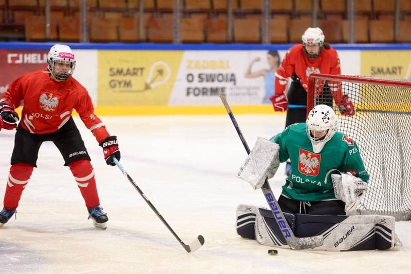 Ice Hockey. Poland national team. Training. 05.02.2024