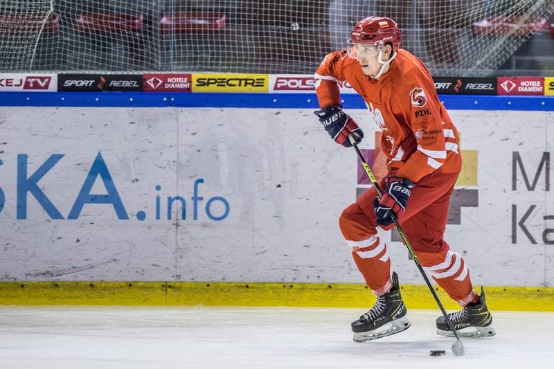 Ice Hockey. Poland national team. Training. 15.04.2021