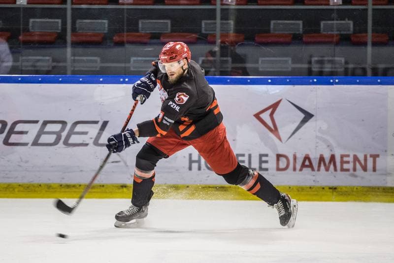 Ice Hockey. Poland national team. Training. 15.04.2021