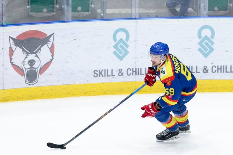 Ice Hockey. Tauron Hokej Liga. Zaglebie Sosnowiec - PZU Podhale Nowy Targ. 14.02.2024