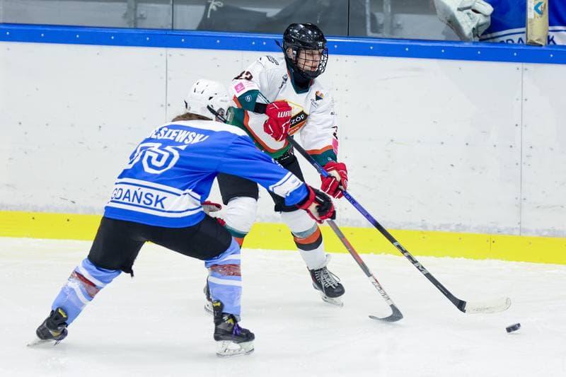 Ice Hockey. Tauron Liga. Kojotki Naprzod Janow - Stoczniowiec Gdansk. 24.02.2024