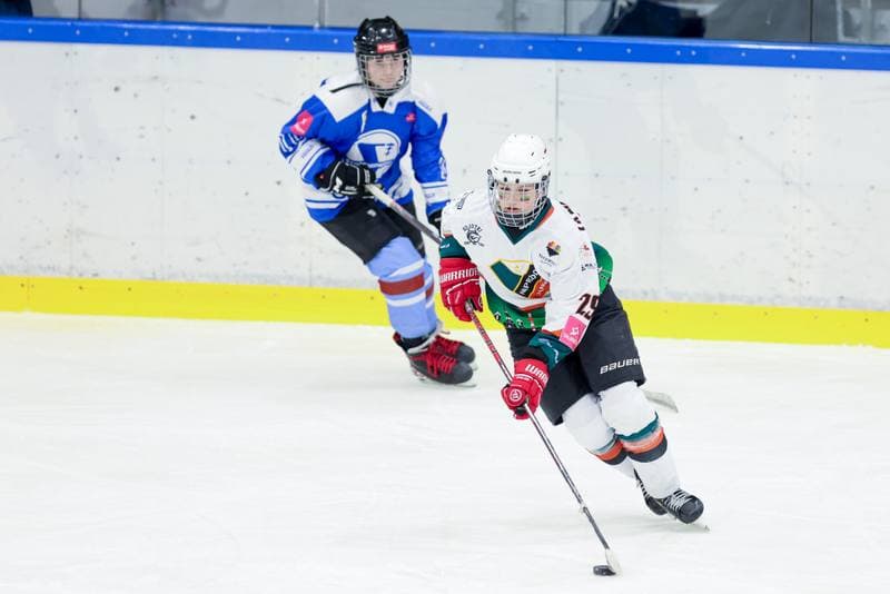 Ice Hockey. Tauron Liga. Kojotki Naprzod Janow - Stoczniowiec Gdansk. 24.02.2024